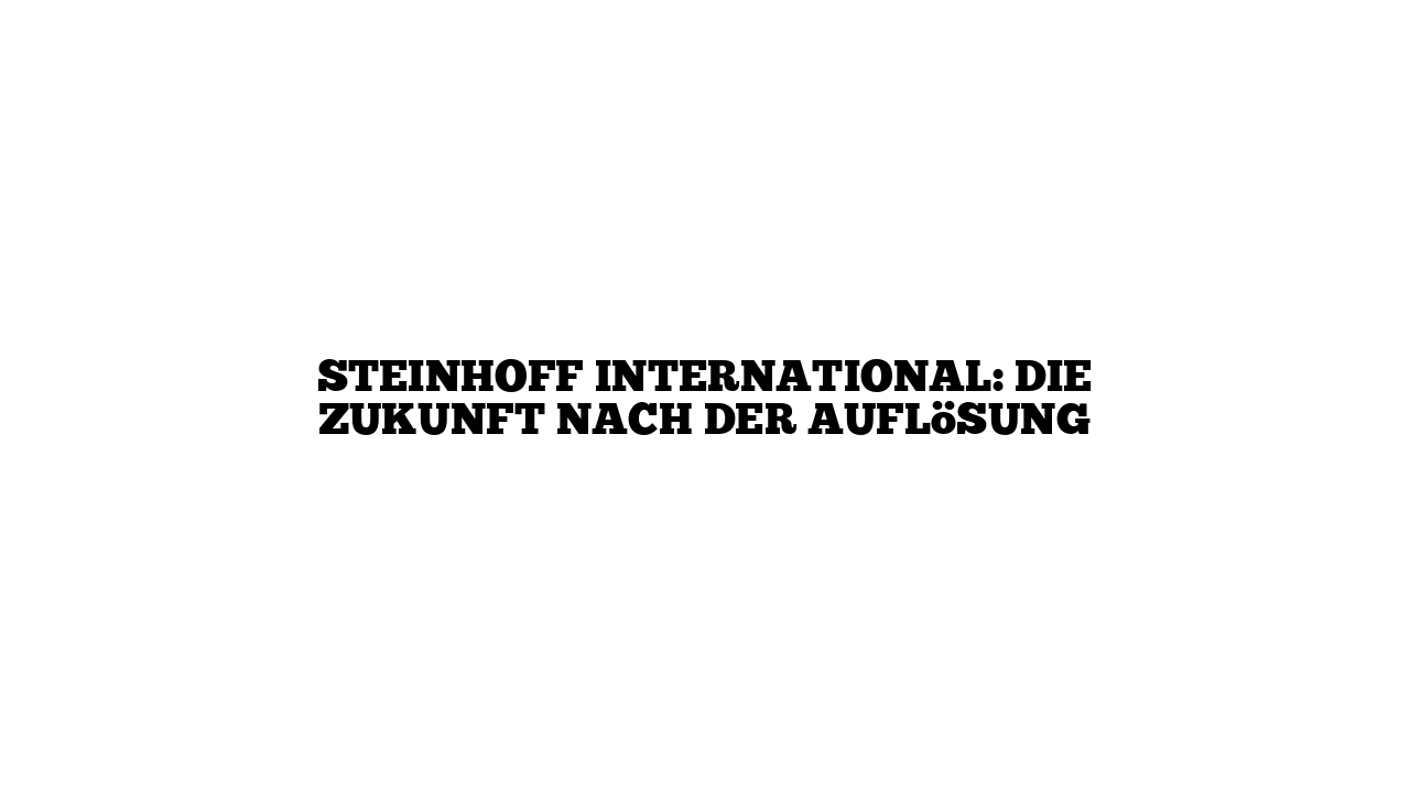 Steinhoff International: Die Zukunft nach der Auflösung