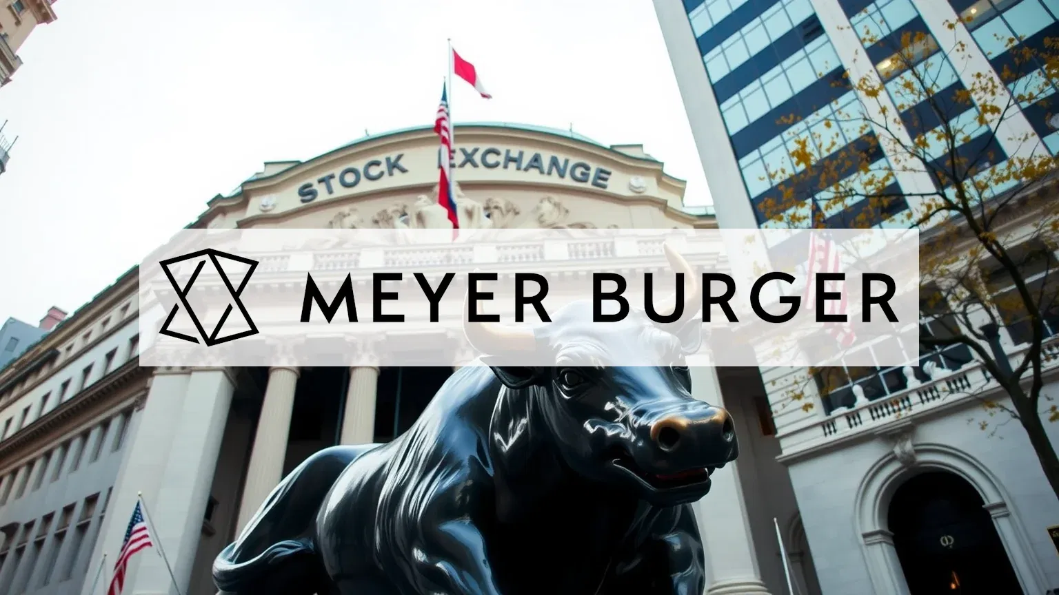 Meyer Burger Technology Aktie